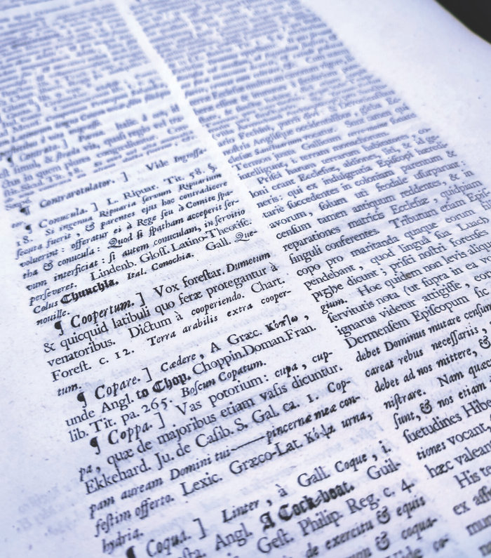 Extrait du Glossarium archaiologicum