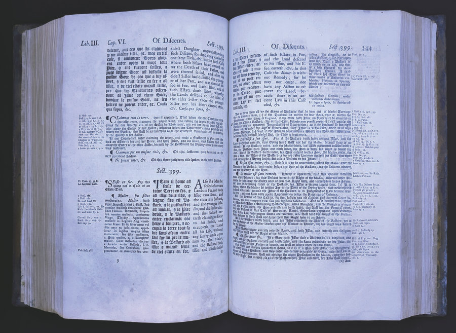 Extrait d'Institutes of the Lawes of England